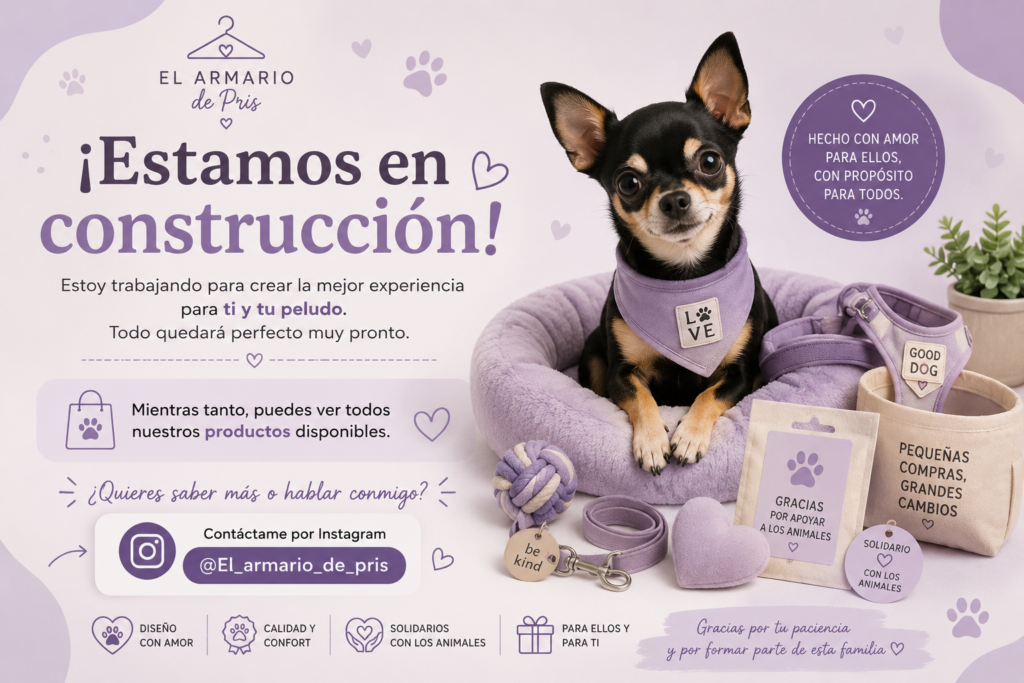 Imagen de pagina en construcción